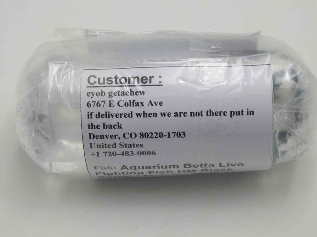 Customer address label on export betta bag